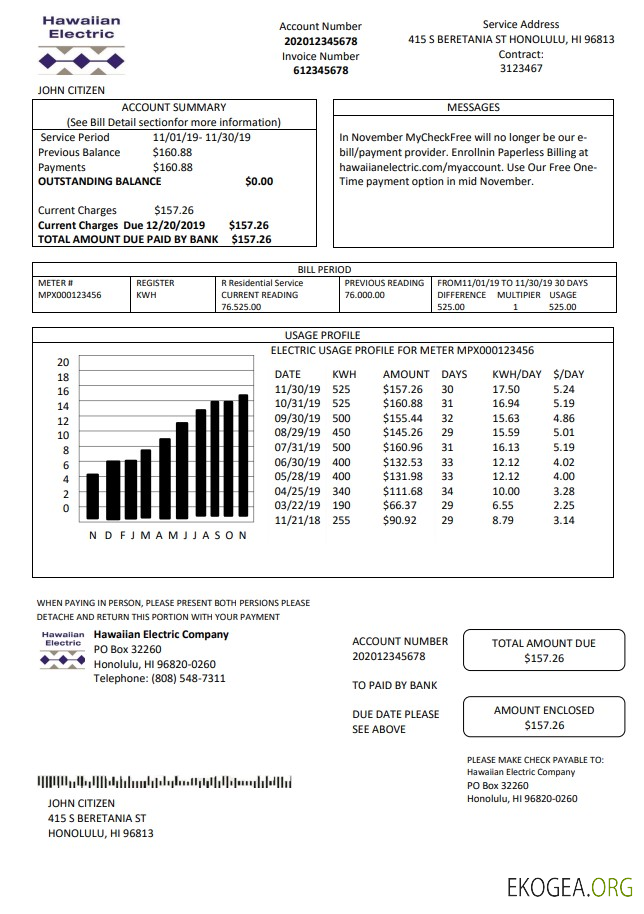 USA Hawaiian Electric utility bill template in Word and PDF format (.doc and .pdf)